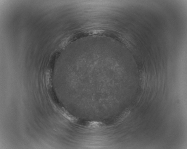 X0000078290222200611172131