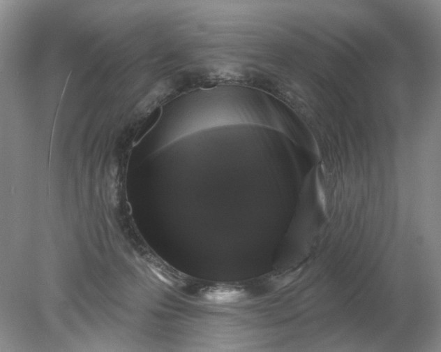 X0000078290223200611172131