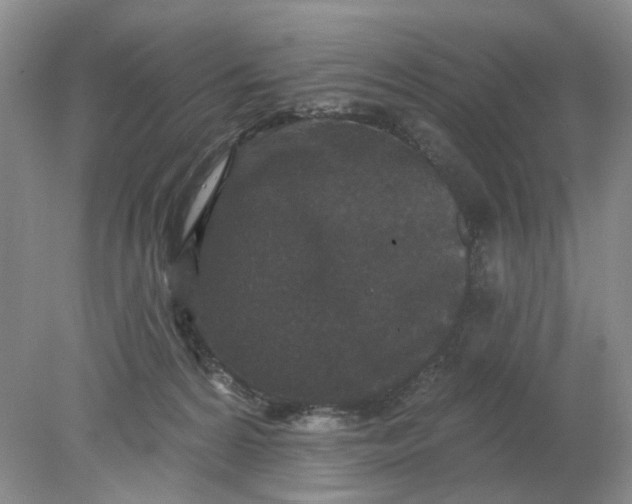 X0000078290224200611172131