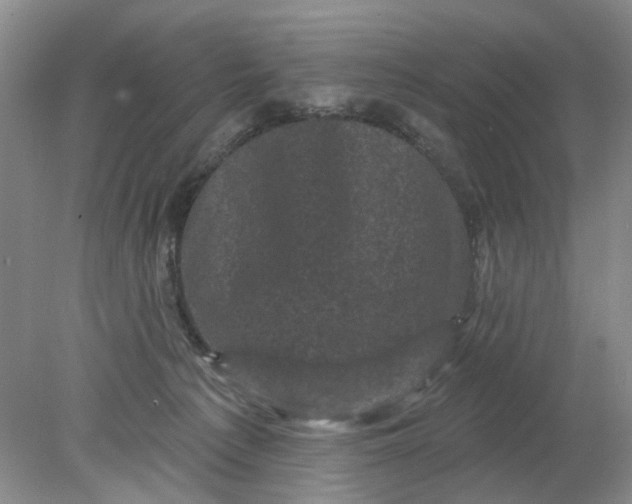 X0000078290225200611172131