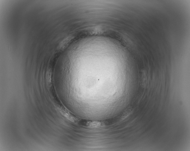 X0000078290230200611172130