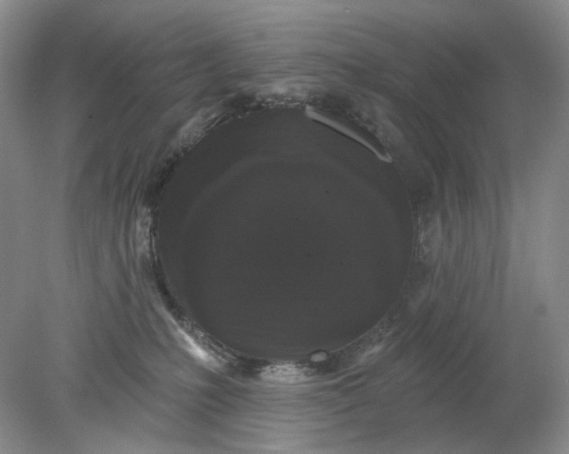 X0000078290231200611172130