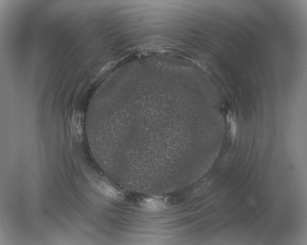 X0000078290232200611172130