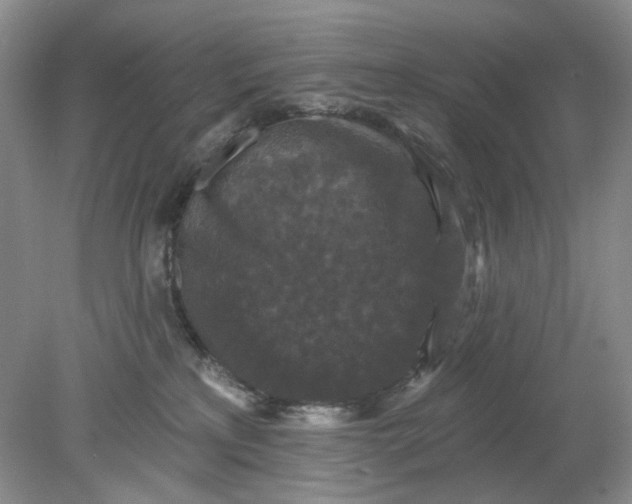 X0000078290233200611172130