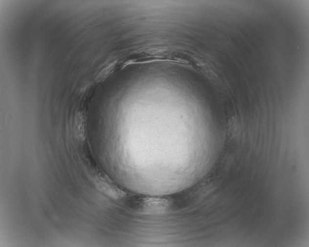 X0000078290234200611172130