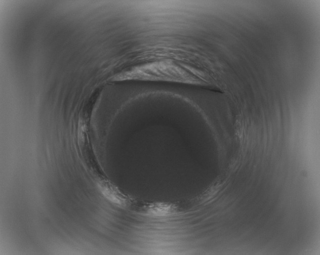 X0000078290235200611172130