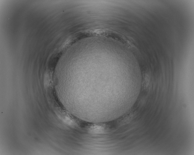 X0000078290236200611172130