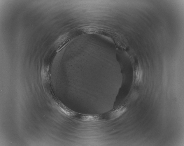 X0000078290239200611172130