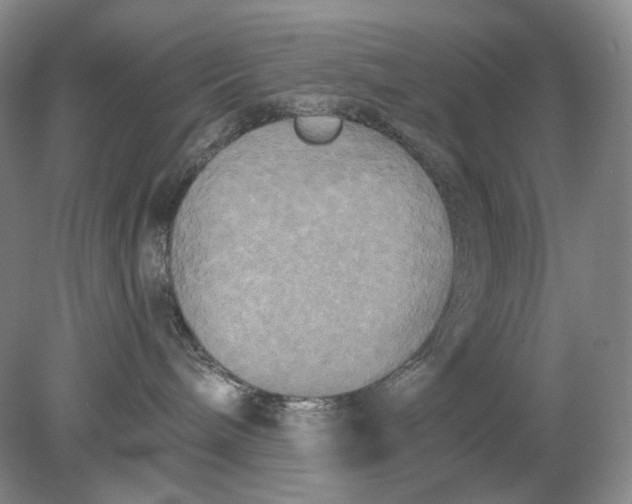 X0000078290240200611172130