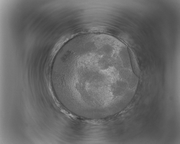 X0000078290241200611172129