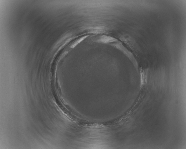 X0000078290243200611172130