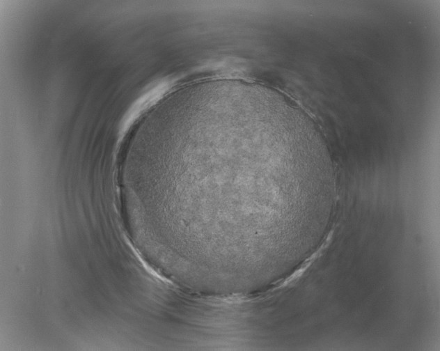 X0000078290245200611172130