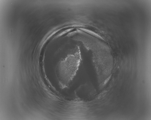 X0000078290247200611172130