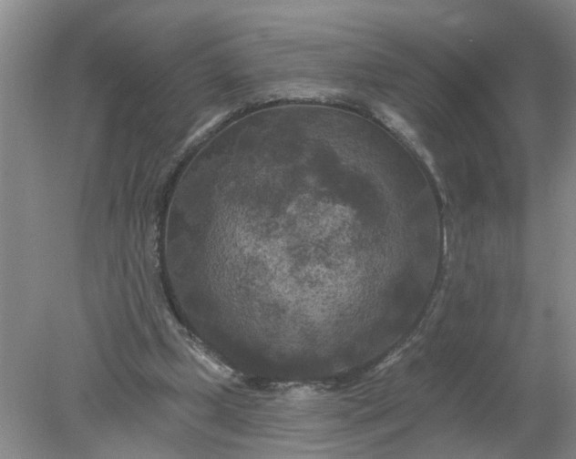 X0000078290249200611172130