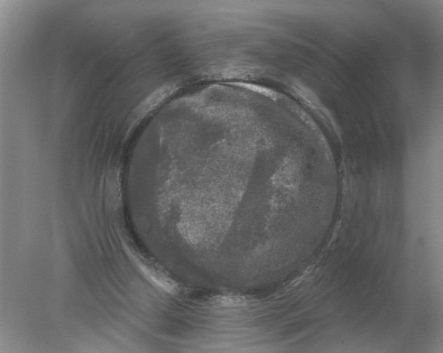 X0000078290250200611172130