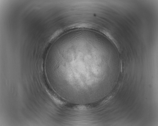 X0000078290253200611172130