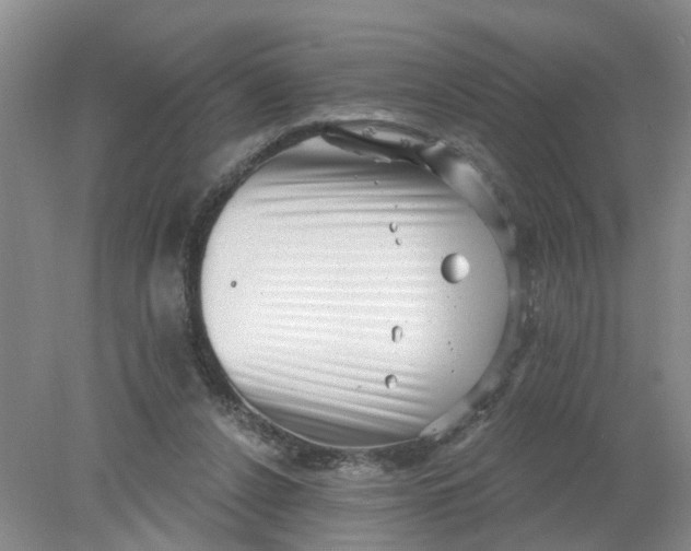 X0000078290256200611172130