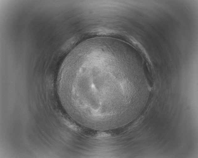 X0000078290257200611172130