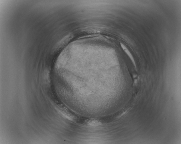 X0000078290258200611172130