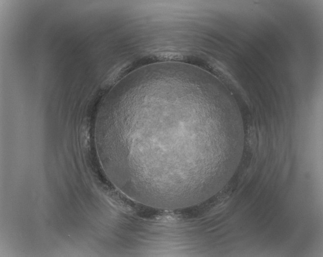 X0000078290259200611172130