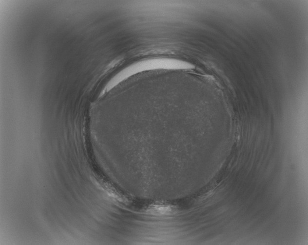 X0000078290260200611172130