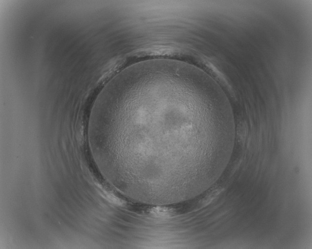 X0000078290261200611172130