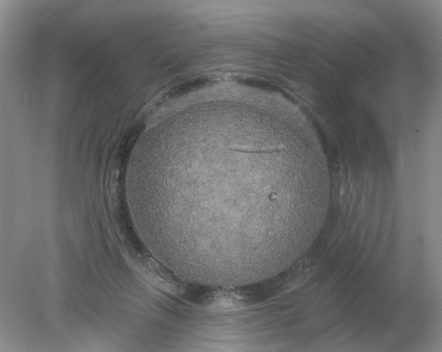 X0000078290263200611172130