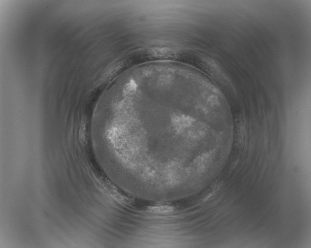 X0000078290266200611172130