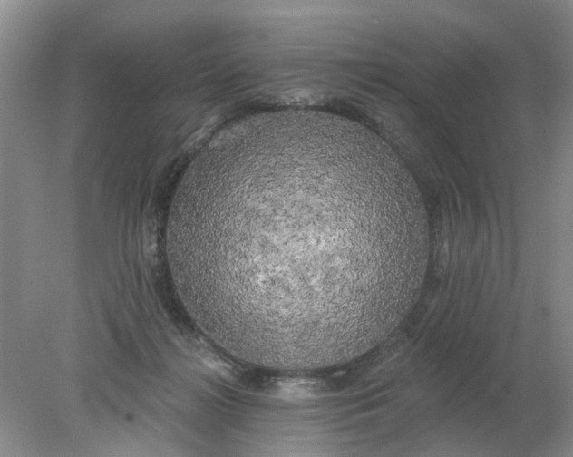 X0000078290268200611172130