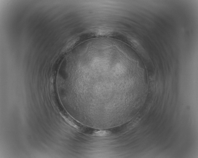 X0000078290269200611172130