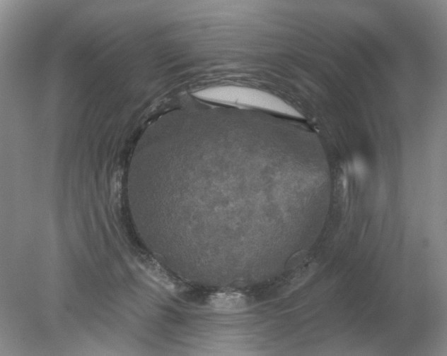 X0000078290271200611172130