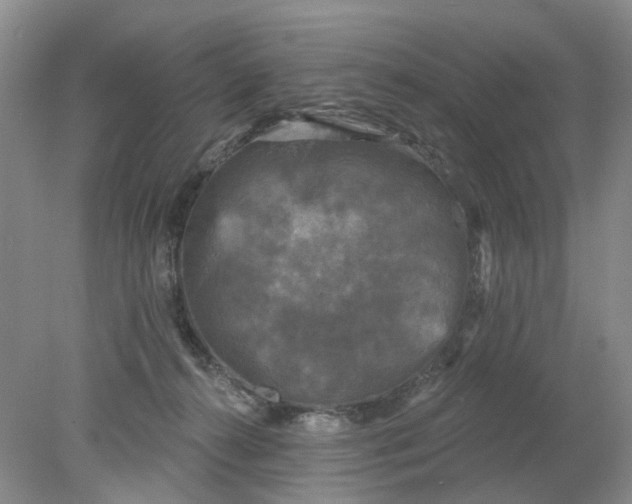 X0000078290272200611172130