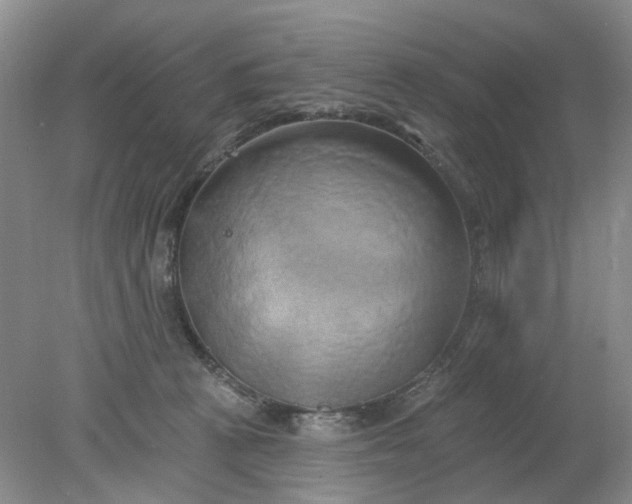 X0000078290273200611172130