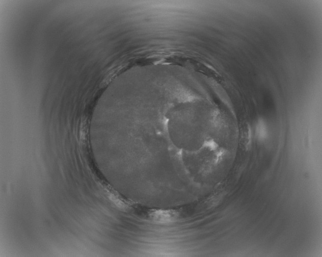 X0000078290277200611172130