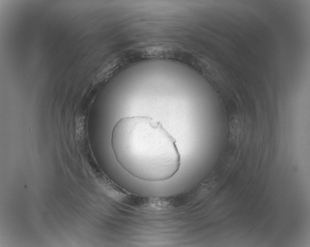 X0000078290278200611172130