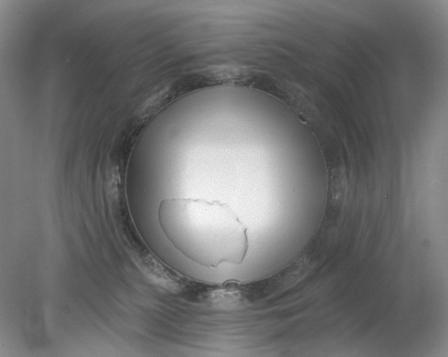 X0000078290279200611172130