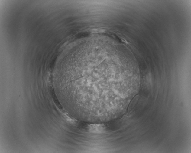 X0000078290281200611172130