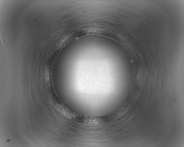 X0000078290282200611172130