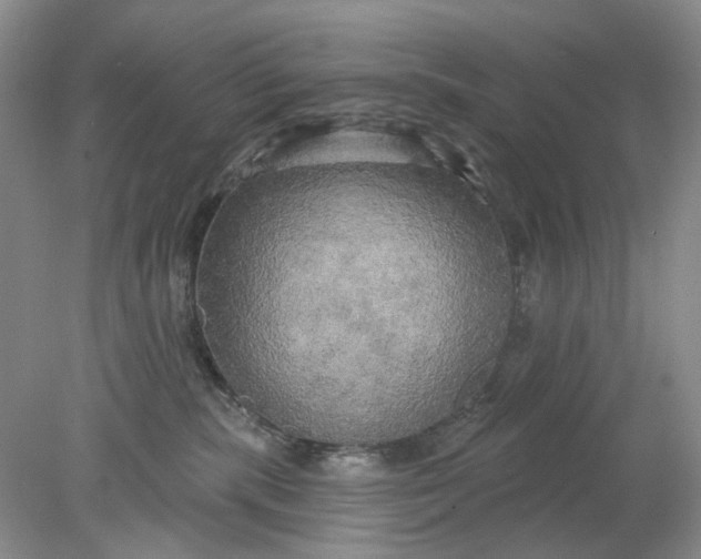 X0000078290283200611172130