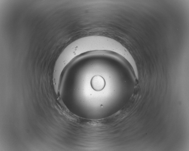 X0000078290284200611172130