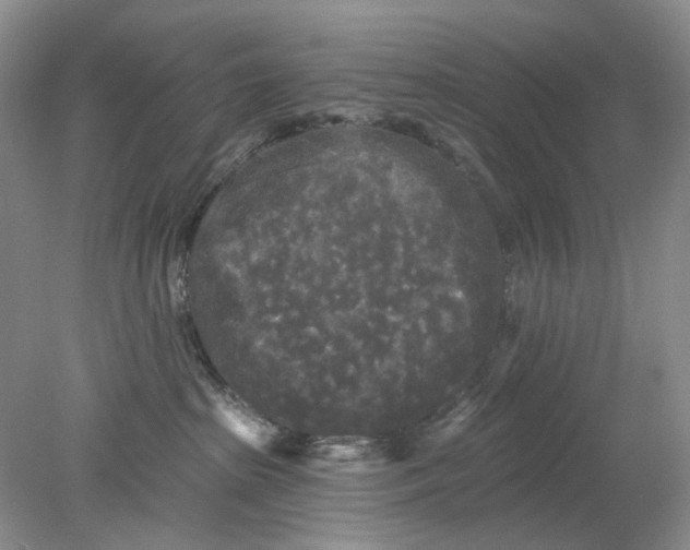 X0000078290285200611172130