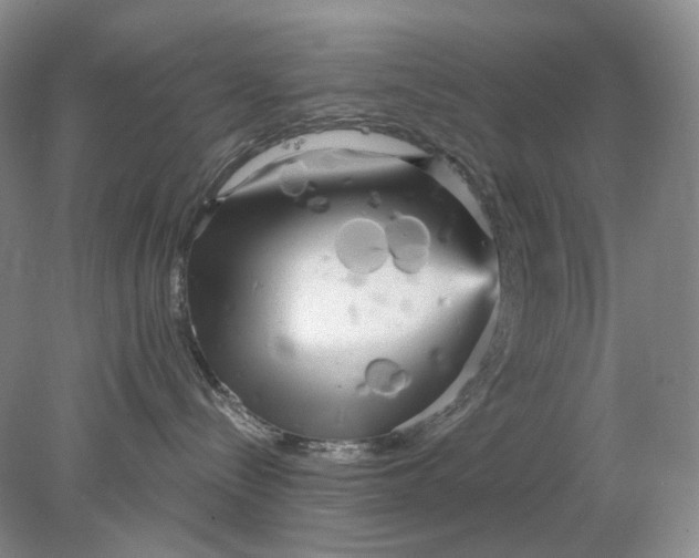 X0000078290288200611172130