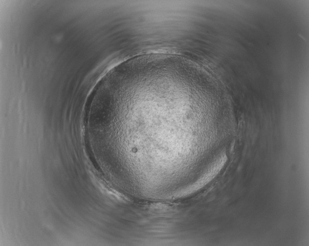 X0000078290290200611172129