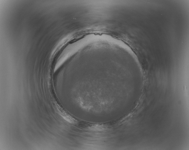 X0000078290293200611172129