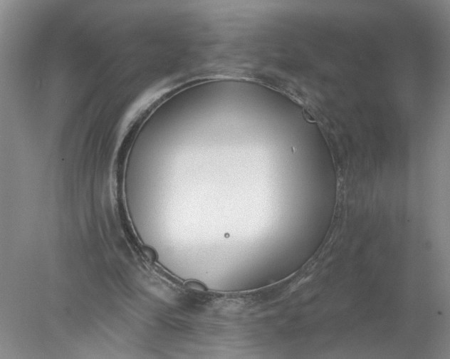 X0000078290294200611172129