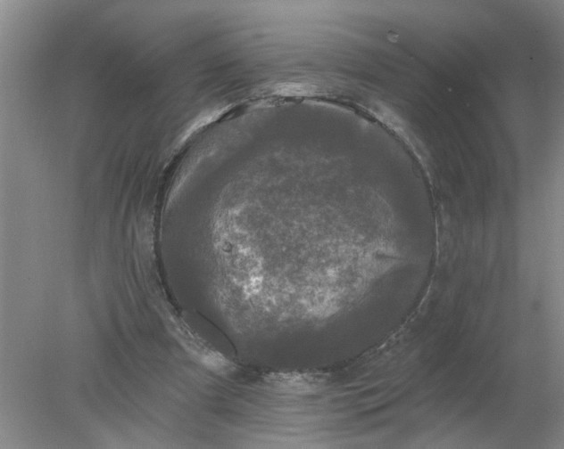 X0000078290297200611172129