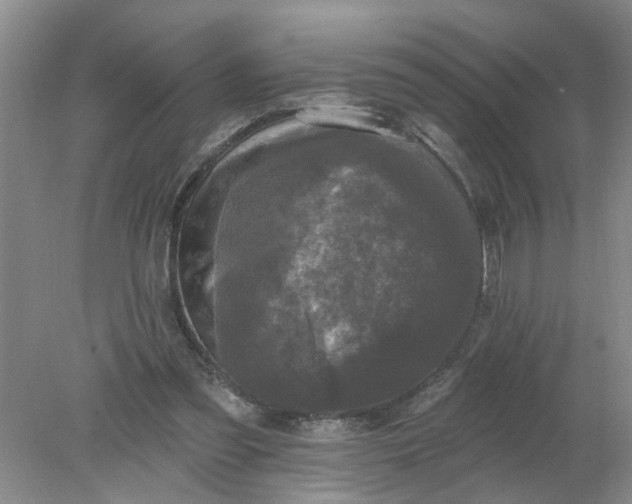 X0000078290301200611172129