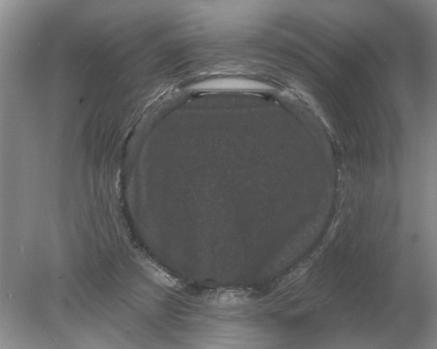 X0000078290305200611172129