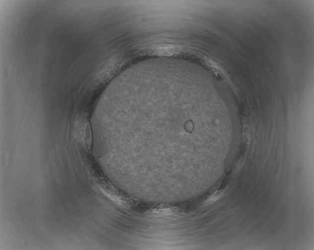 X0000078290307200611172129