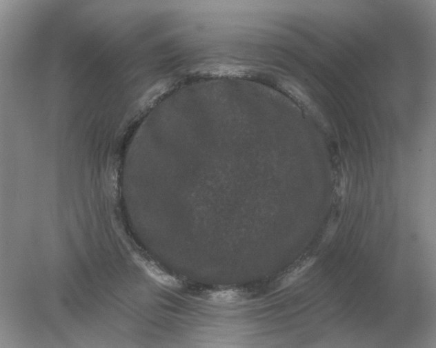 X0000078290309200611172129